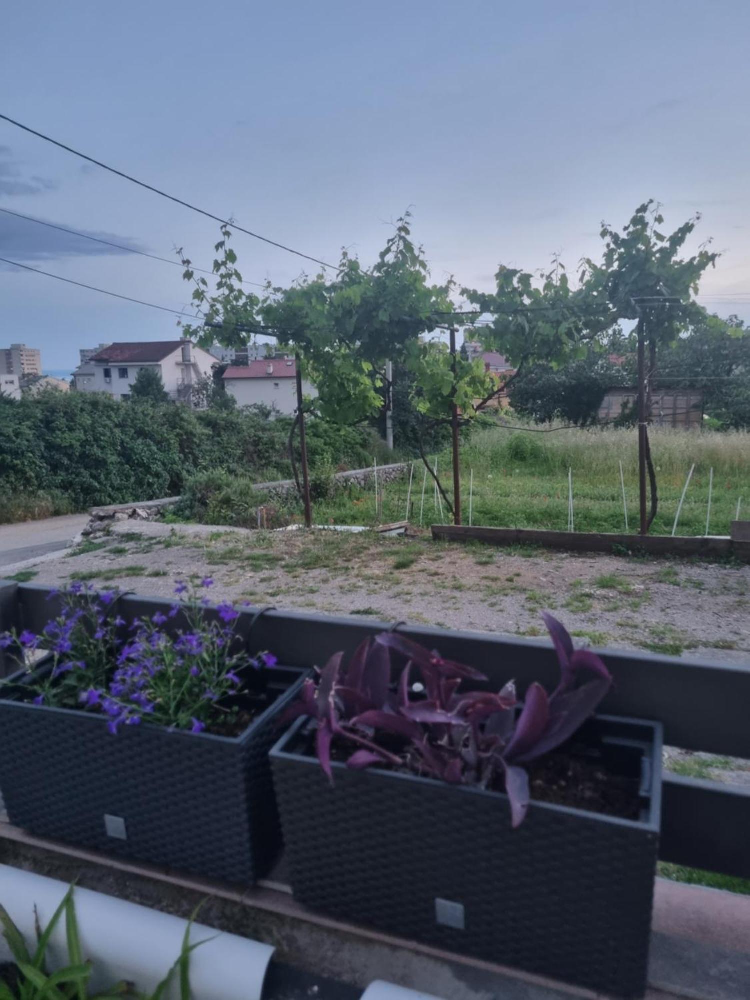 Apartman Dasa Rijeka Exterior foto